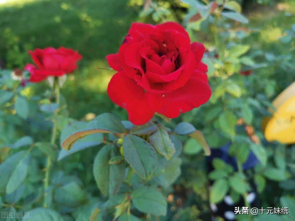 太温柔的人活得不好吗 详细介绍改善特征和性格的方法 Mp头条