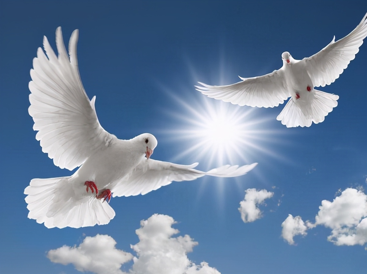 ������ʵ������֪�������й�����Ϊ������в���������˷Ѿ��Ѷ���