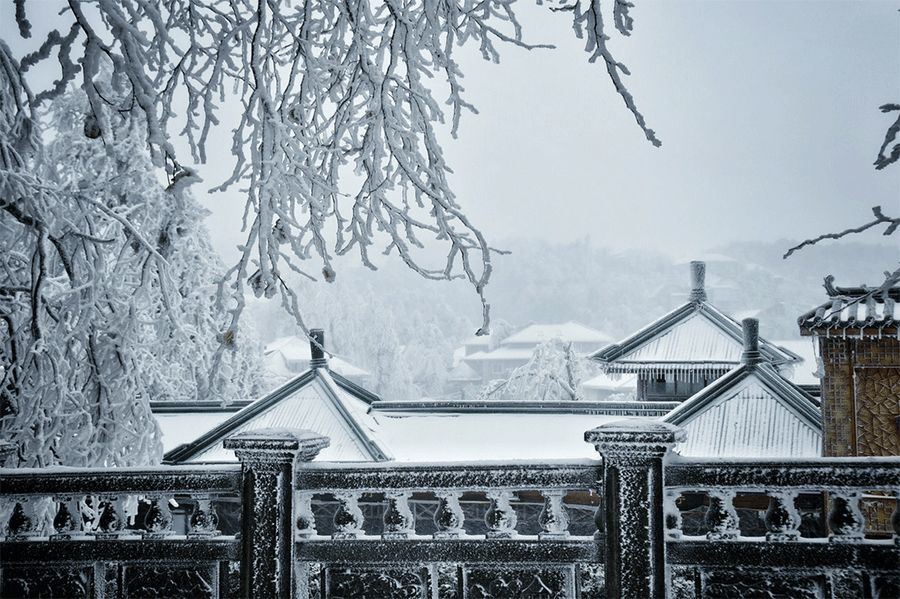 今日大雪 白首天涯 雪落归家 文化 蛋蛋赞