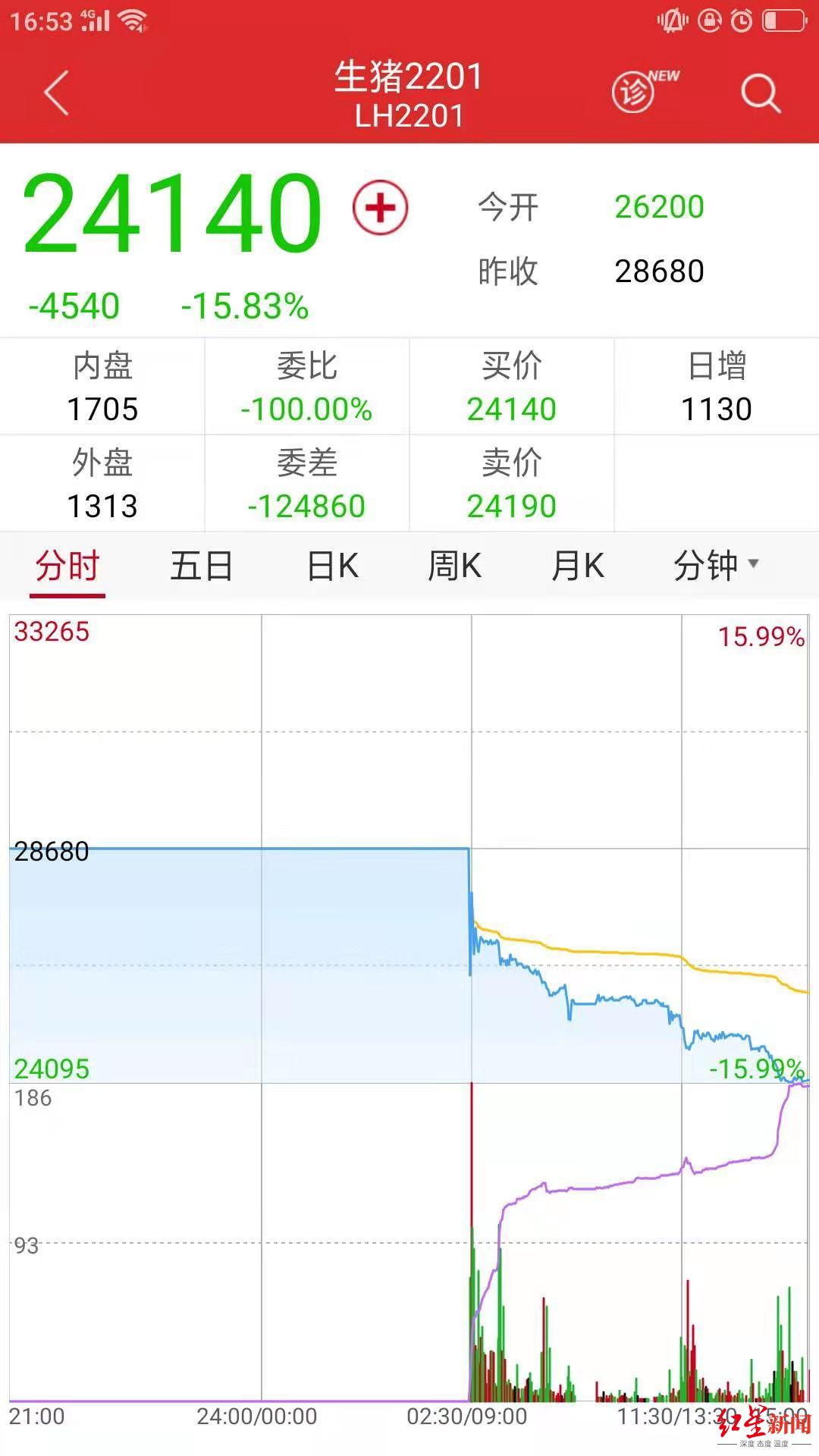 Hog futures appears on the market trade, first days of entire troops under one's command drops the expert reminds " careful investment "