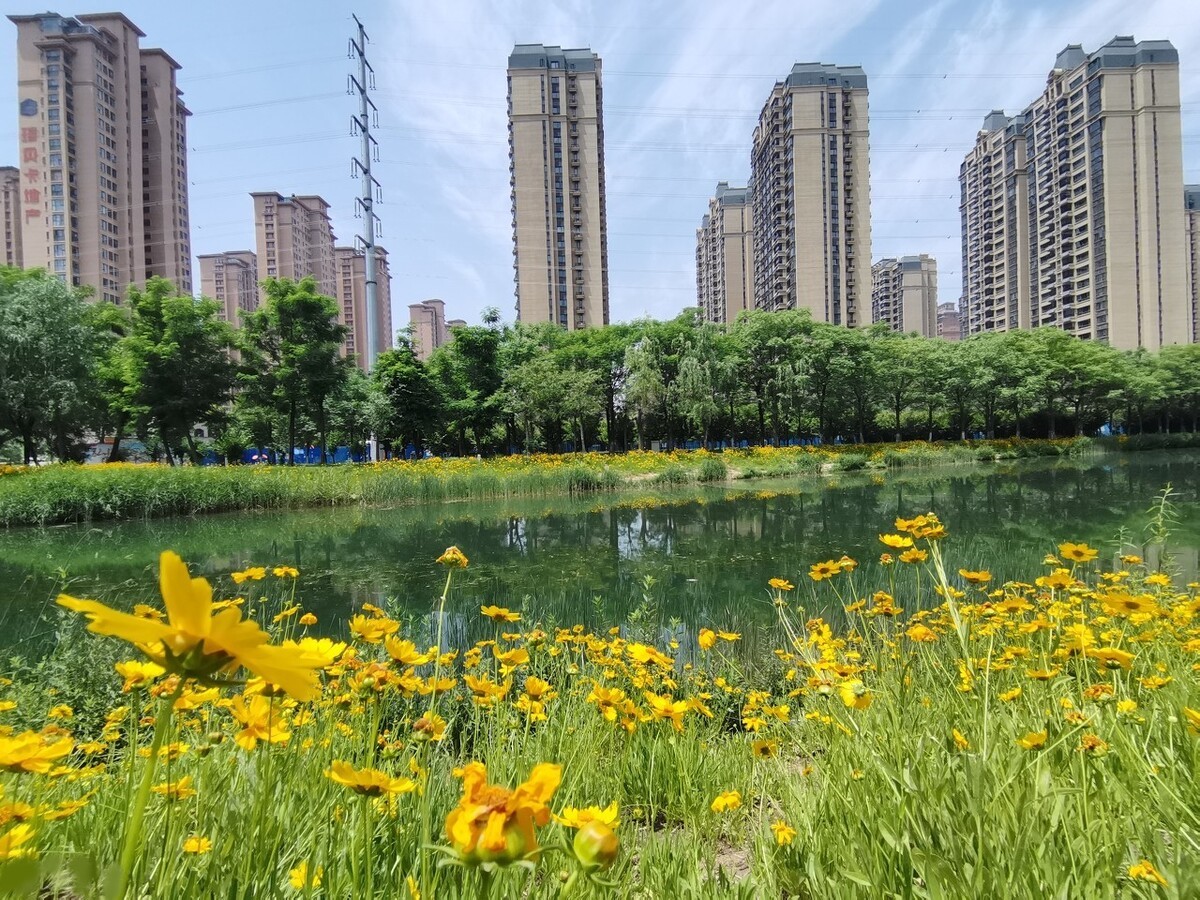 2021年买房，为何聪明人专挑二手房？业内人：少花钱还省心