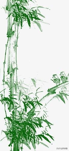 五月知竹，人生知足-第4张图片-非凡网
