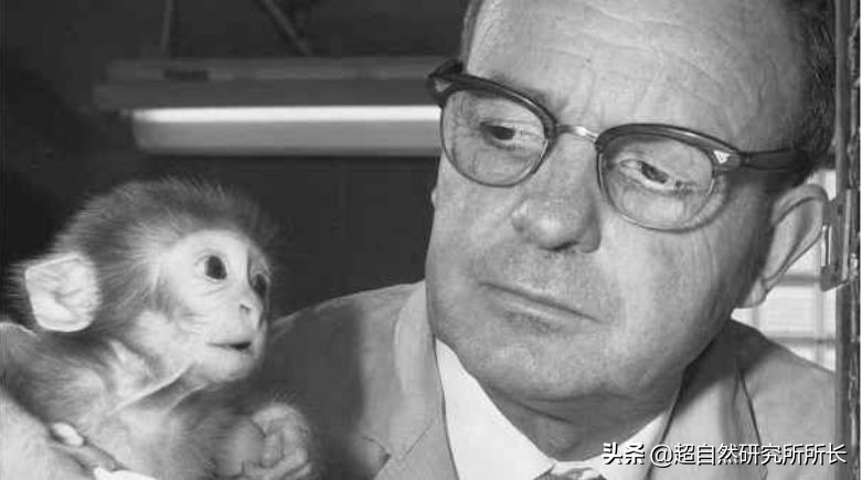 三個直擊你心靈的實驗，請直麵你的內心