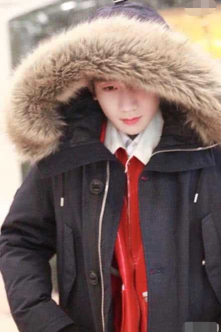 ? Spring late director Yang Dongsheng is big " drama is appeared " , the matter that old artist leaves knew eventually