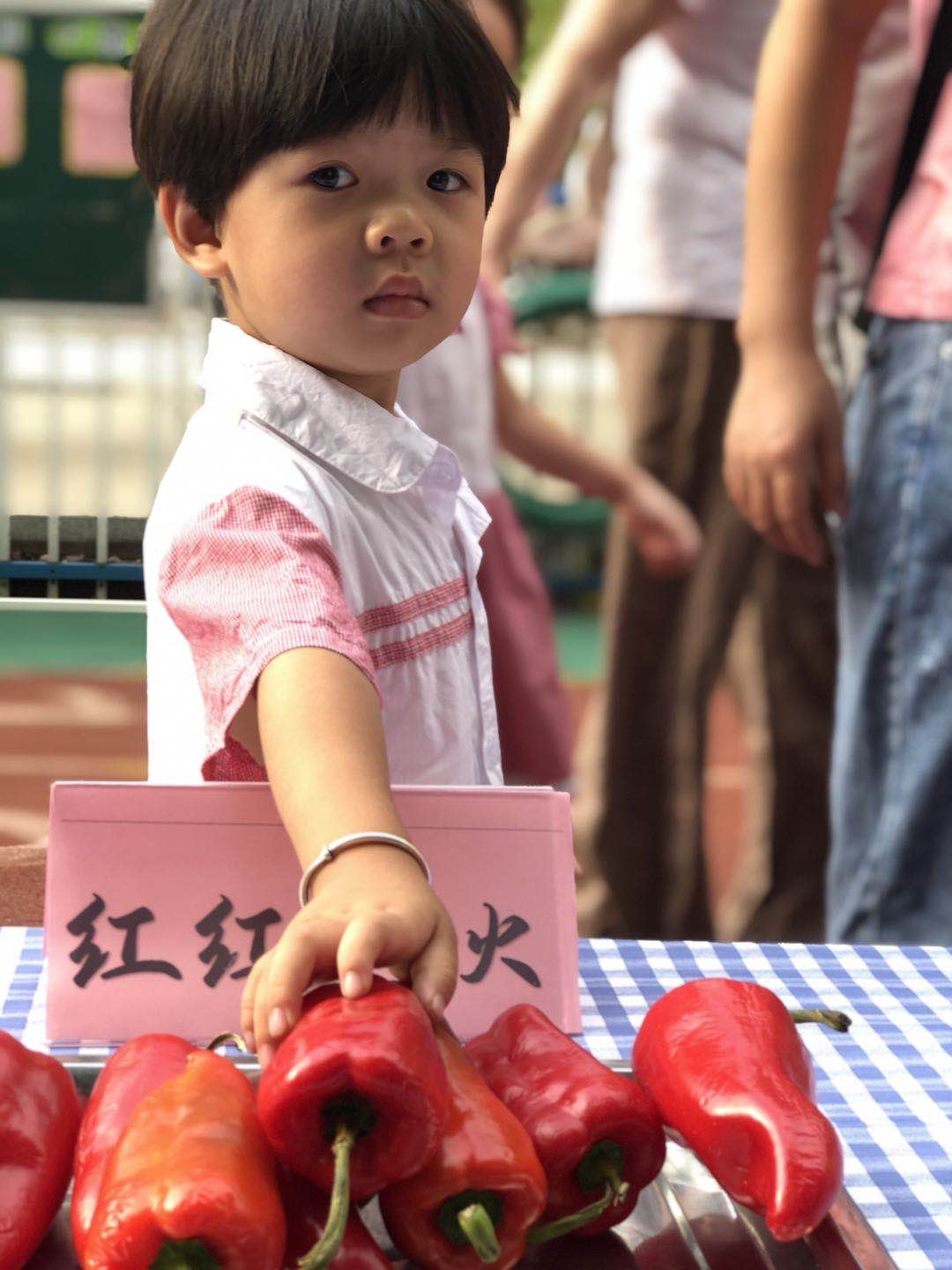 園外園小朋友開(kāi)學(xué)第一周周報(bào)