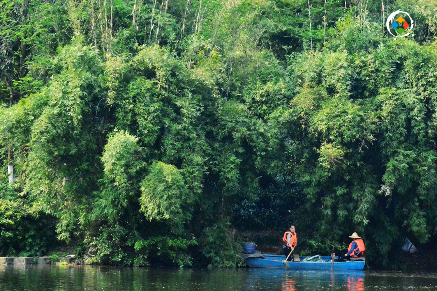 重庆湿地公园你不知道的事，超8成是国家级，很多区县一个都没有