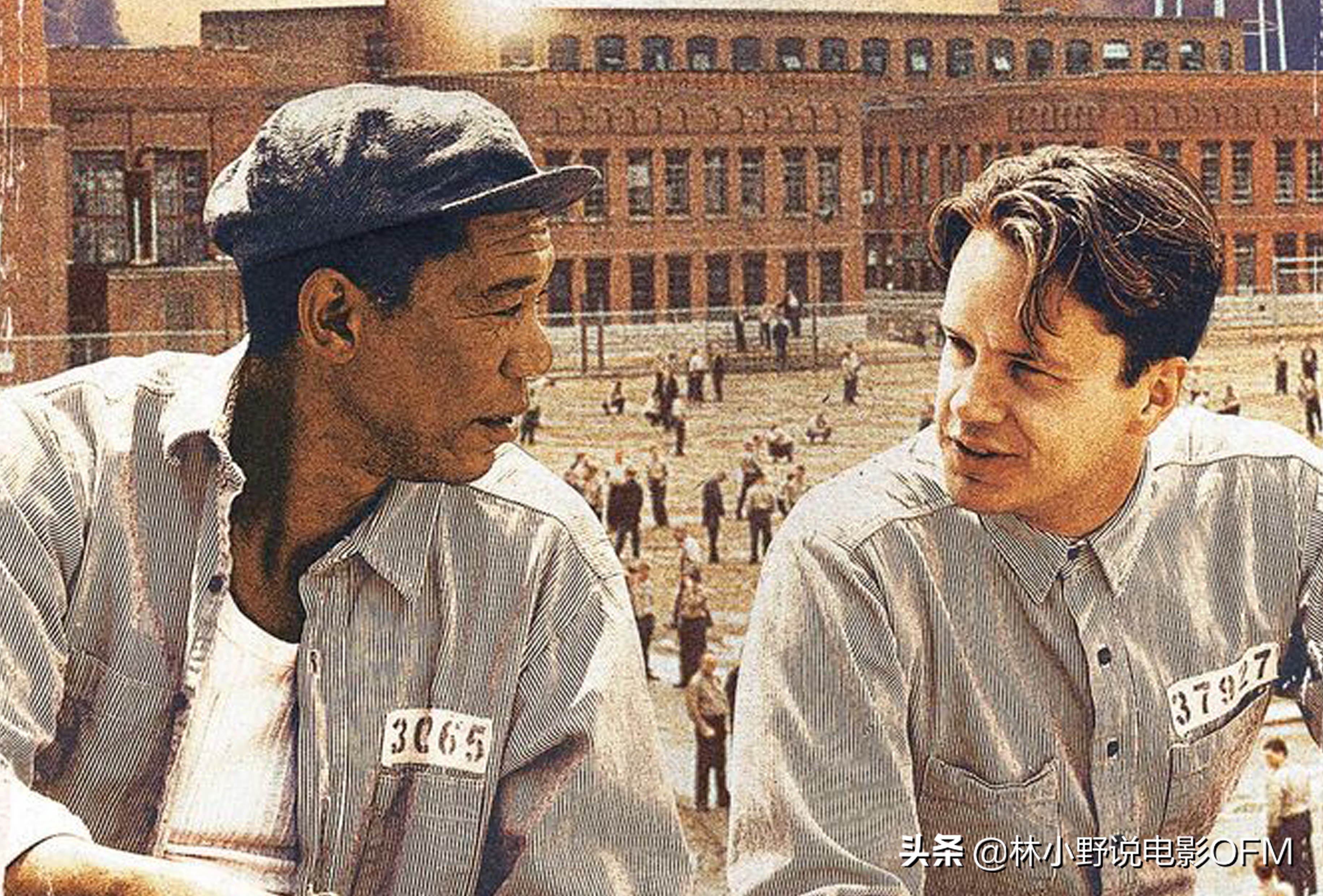 This old oak tree was struck by lightning! "Shawshank's Redemption