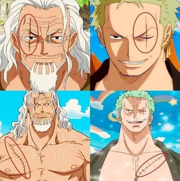 One Piece 10 characters with scars on their eyes, Zoro Relli is