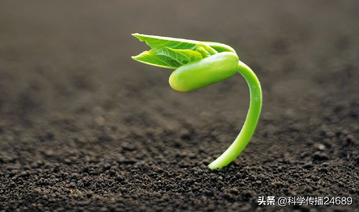 流浪地球里大气被木星捕获，可地球的大气是怎么来的？