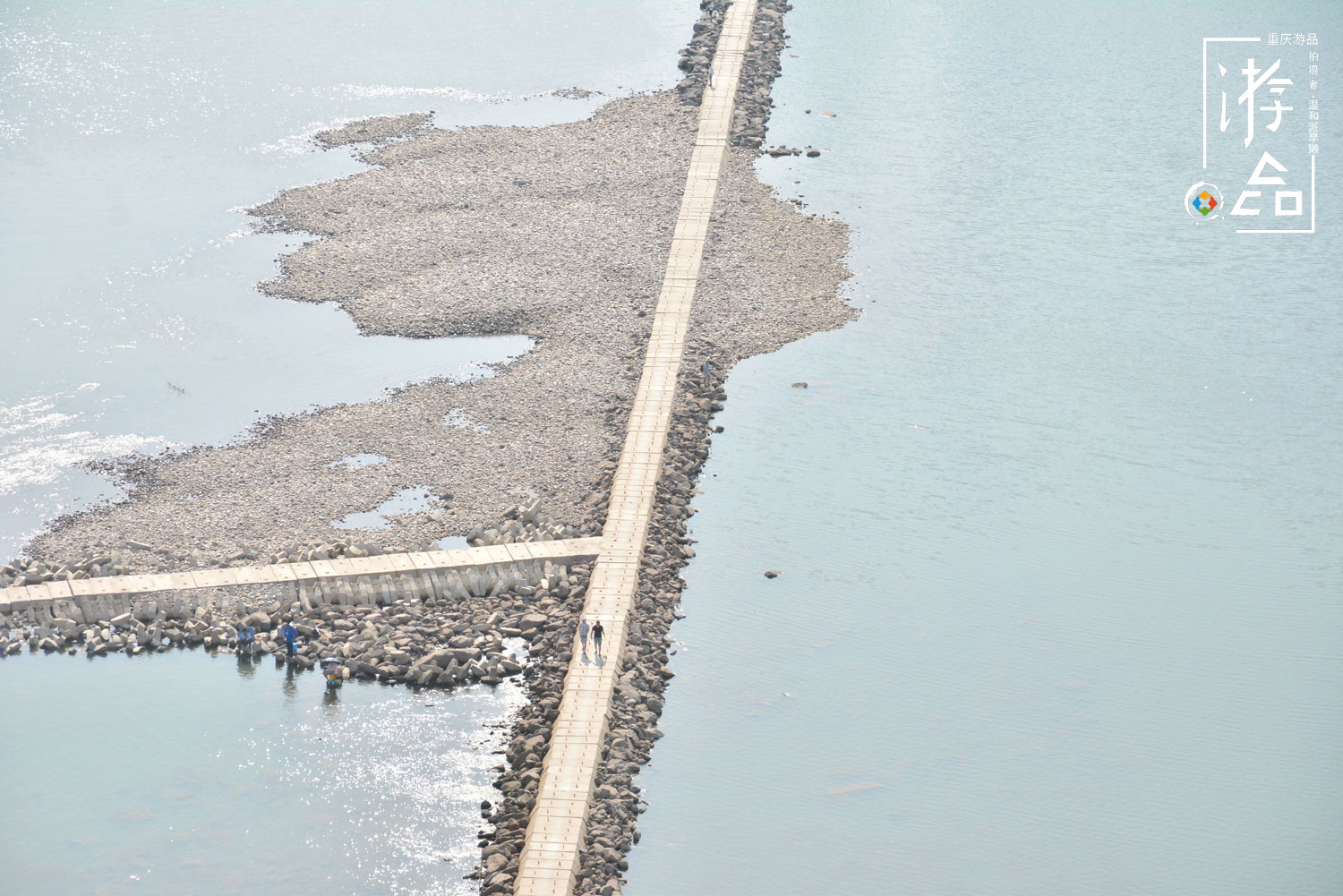 寻找重庆的“龙脊”，妄图从菜园坝大桥抄近路，抵达之前先中暑了
