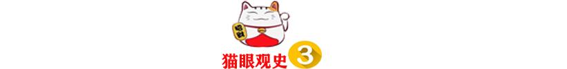 皮定均：毛主席破格提为中将，晚年遇空难身亡，妻子含泪提出质疑
