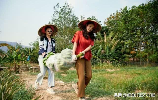 陶虹是唯一一个冲破了《向往的生活》特邀嘉宾的“原则”