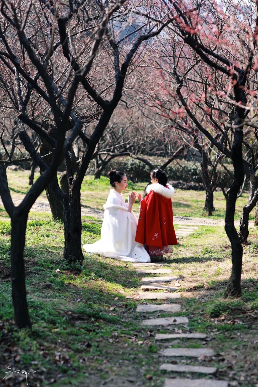 无锡梅花开了江南著名赏梅胜地占地近千亩一天都玩不够