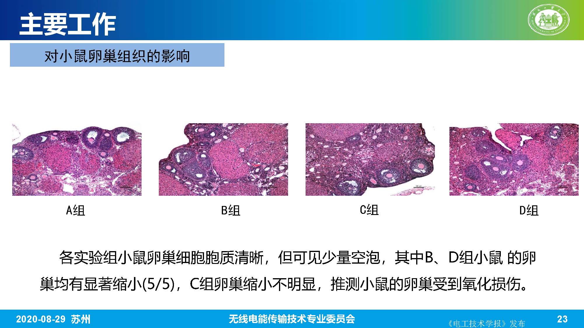 河北工业大学赵军博士：无线电能传输系统的生物电磁综合效应研究