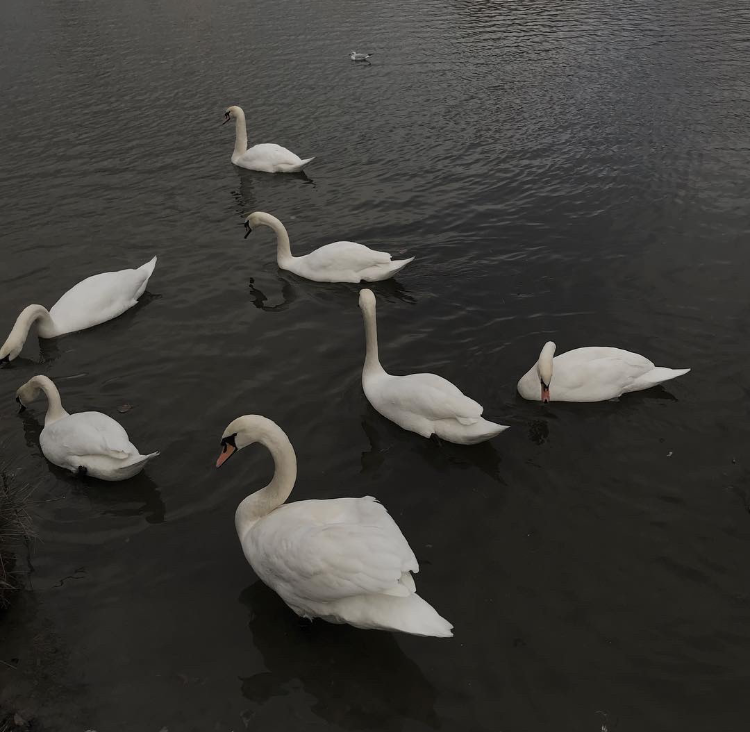 三观特别正的文案