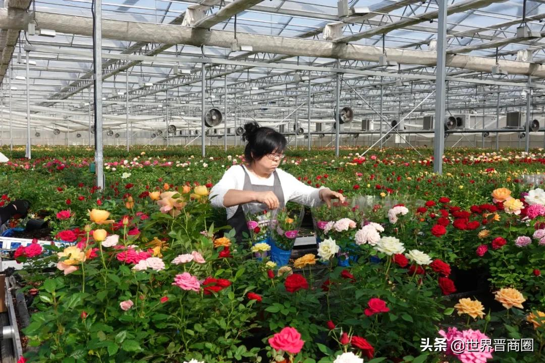 晋源区旅游收入要突破300亿,还要打造三个经济带,六个产业园