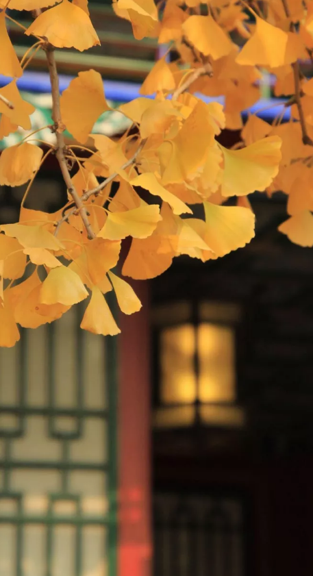 踏歌争唱清秋词，古诗词里的秋词，是秋天最美的色彩-第12张图片-诗句网