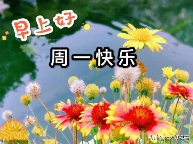 新的一周早晨正能量问候祝福语句，周一最美的早安祝福表情图片图片