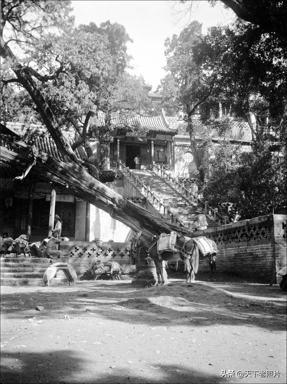 1914年 山西太原老照片 太原城首义门和晋祠