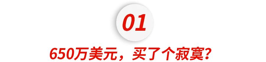 那个花4300万“买”进斯坦福的中国女孩，被开除的两年后