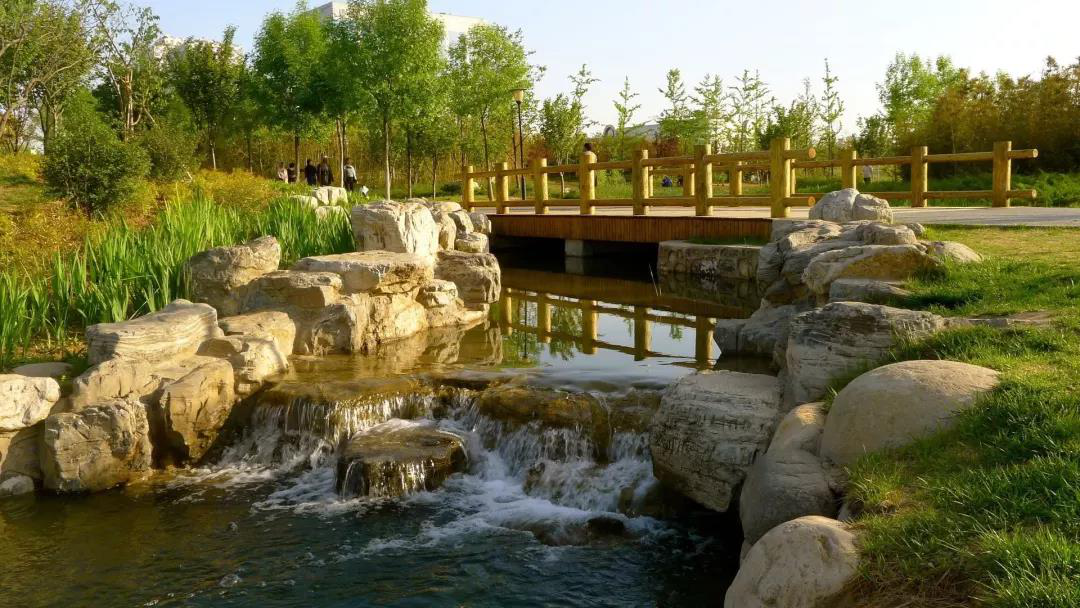 疫考优等生，林肯让你不得不选的N种理由