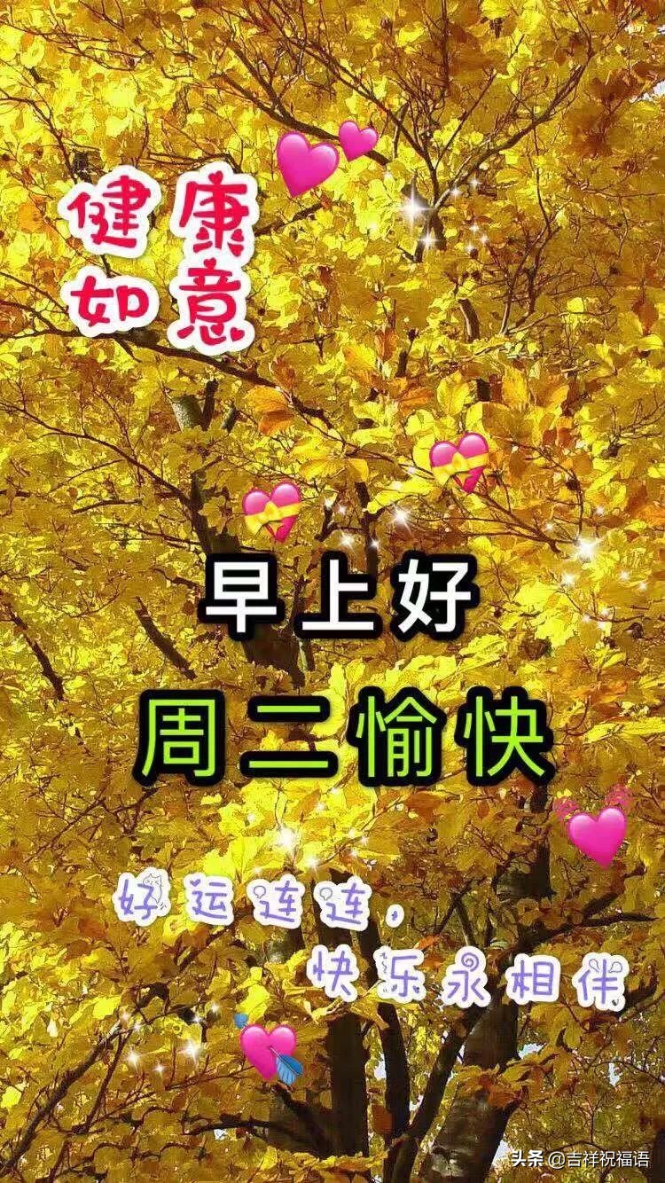 天气在变，思念不变；季节在变，关怀不变，早安