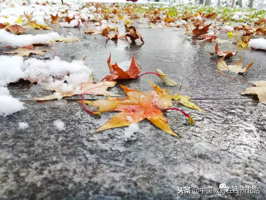 甘肃初雪|甘肃18所高校初学雪景大PK,快来看看有你的母校没?