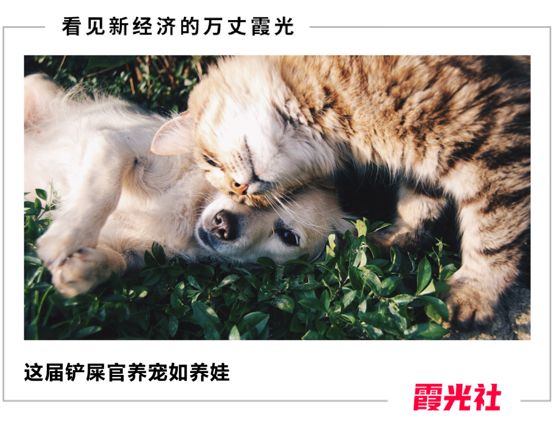 һ��è�����롰����ʱ����