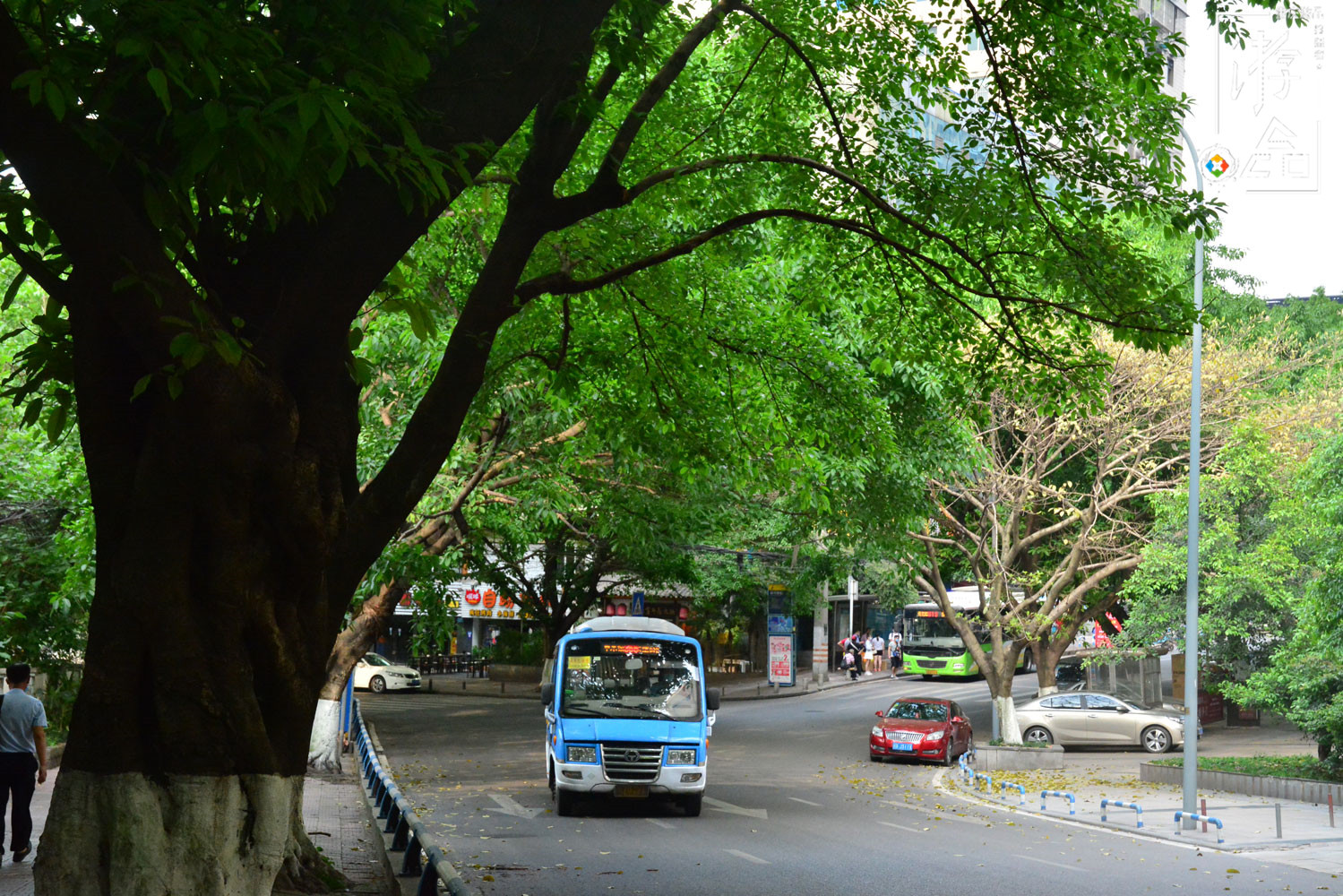 重百超市关闭29家店铺，并非经营不善，而是蓄力等待再度崛起