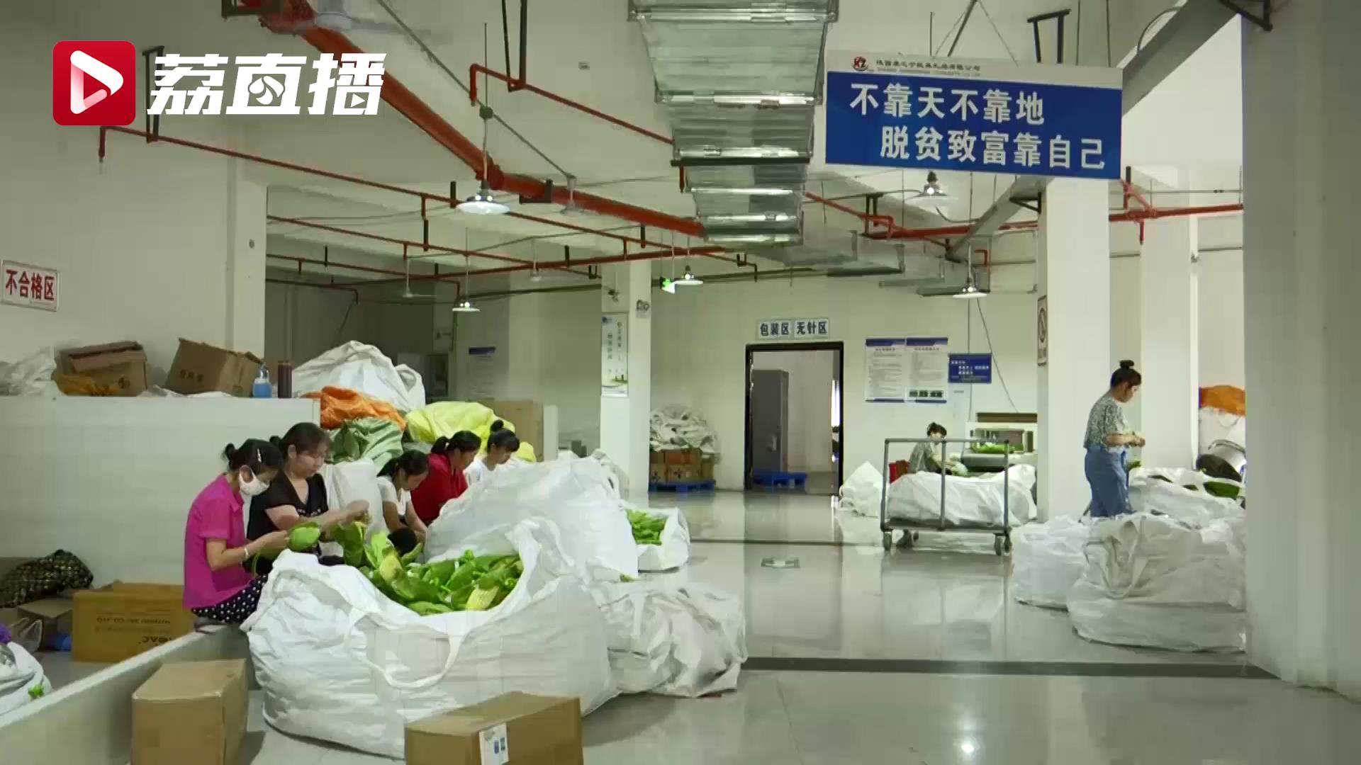 我们■【走向我们的小康生活】陕西旬阳县：大山里的距离相对论