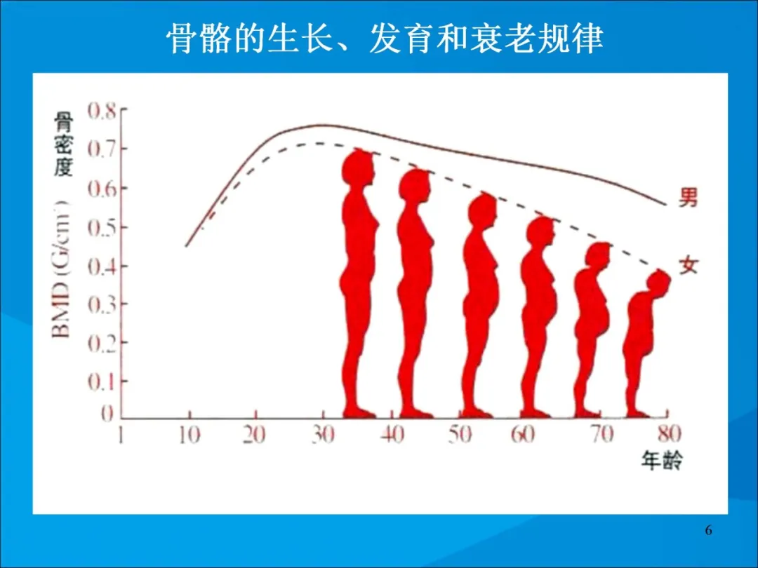 健康科普大赛获奖作品展示②|骨质疏松症的康复治疗