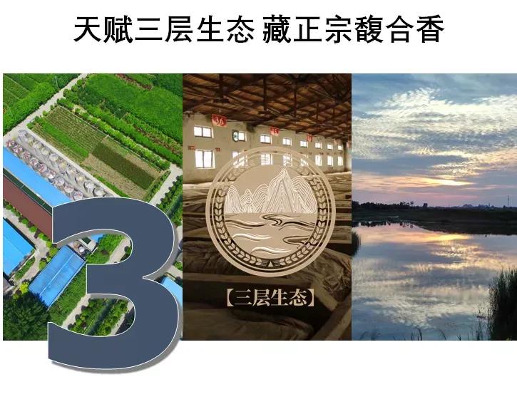 数读皇沟馥合香数字密码1354T