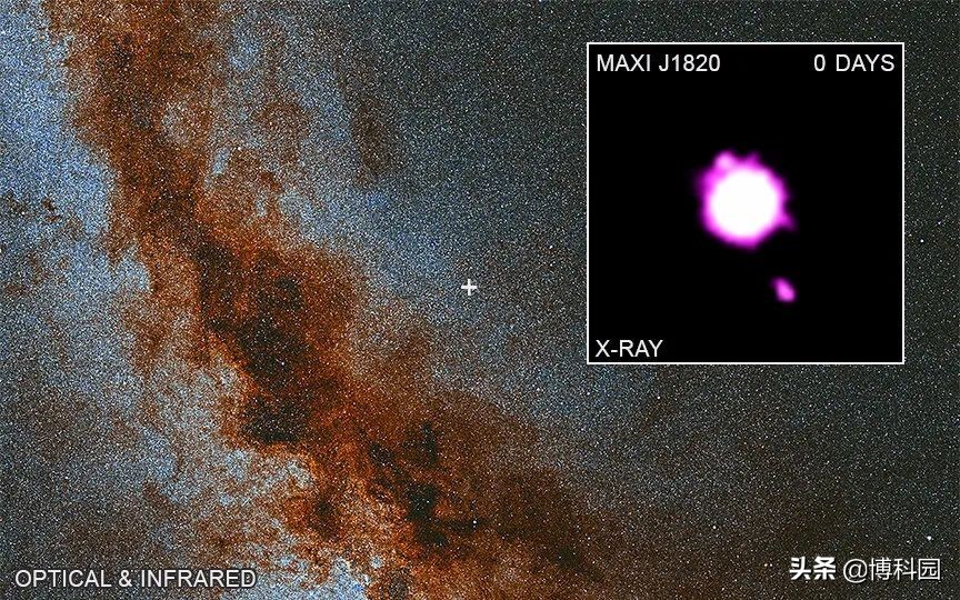 就在银河系中，发现一颗恒星黑洞，发出1.6倍超光速的喷射流