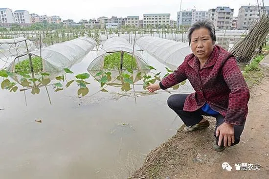 现在年轻人为什么不愿意种地了？