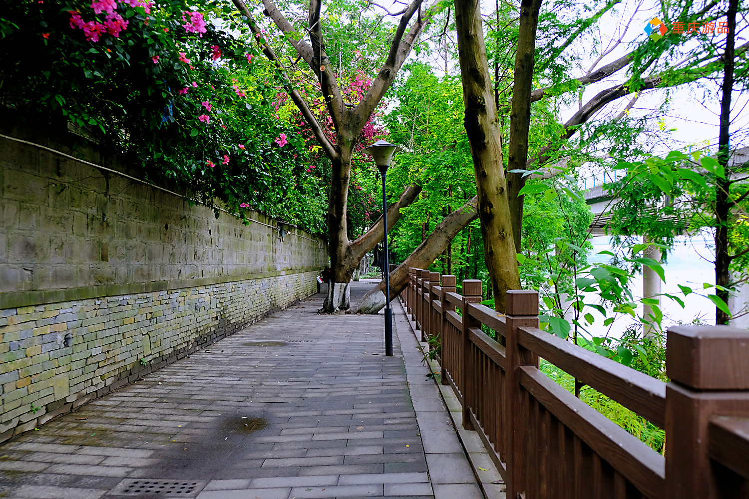 魅力渝中：重庆李子坝抗战遗址公园，不收门票，为何却冷冷清清？