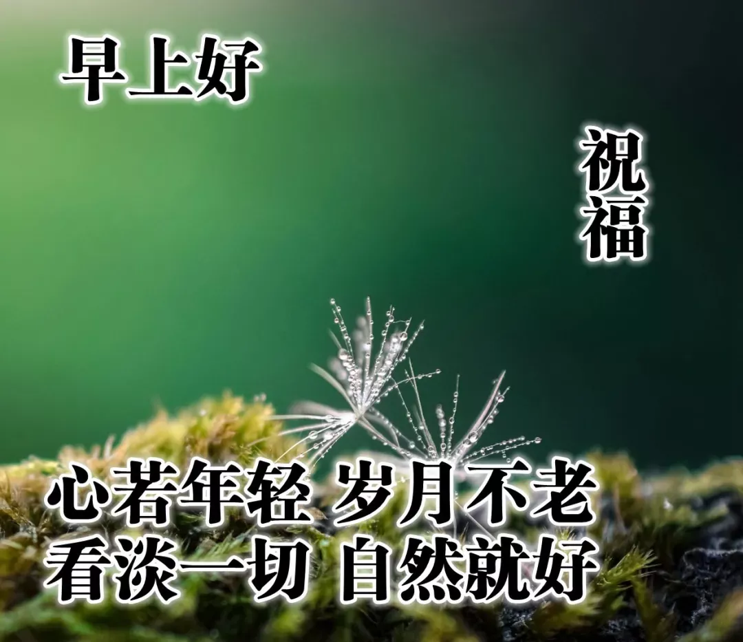 早上好图片加祝福语，早上好表情带问候语，早安图片