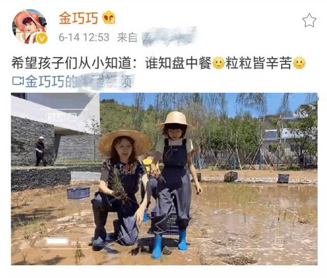 金巧巧带儿女插秧体验生活，小西瓜姐弟一点不娇气，豪门教育获赞