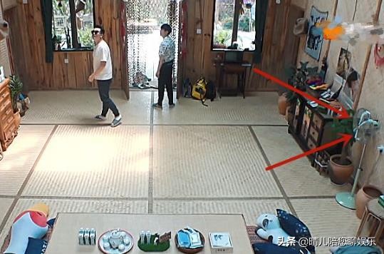 向往：张子枫到底有多受宠？别的房间全是落地扇，唯独她与众不同