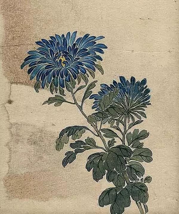 一生必读的人生感悟 每一句都精辟入骨图片