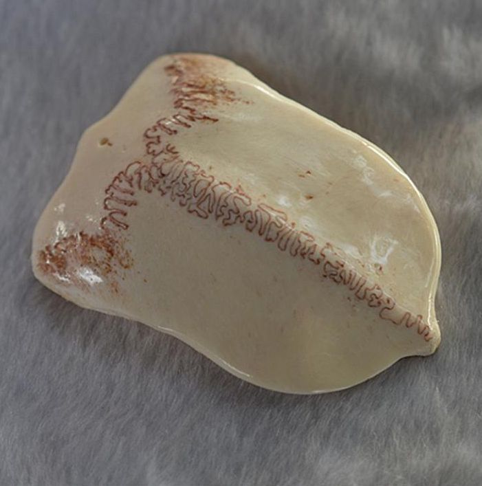 极品帝王绿翡翠中最神秘的物种,一般翠友只牌涿