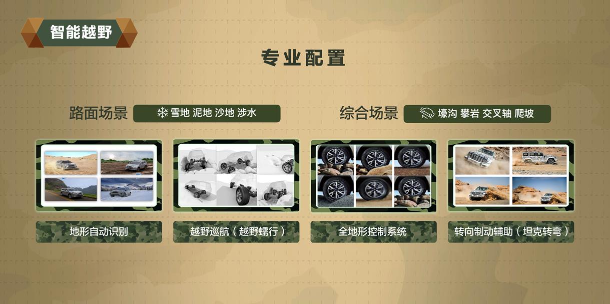 大河报汽车网
