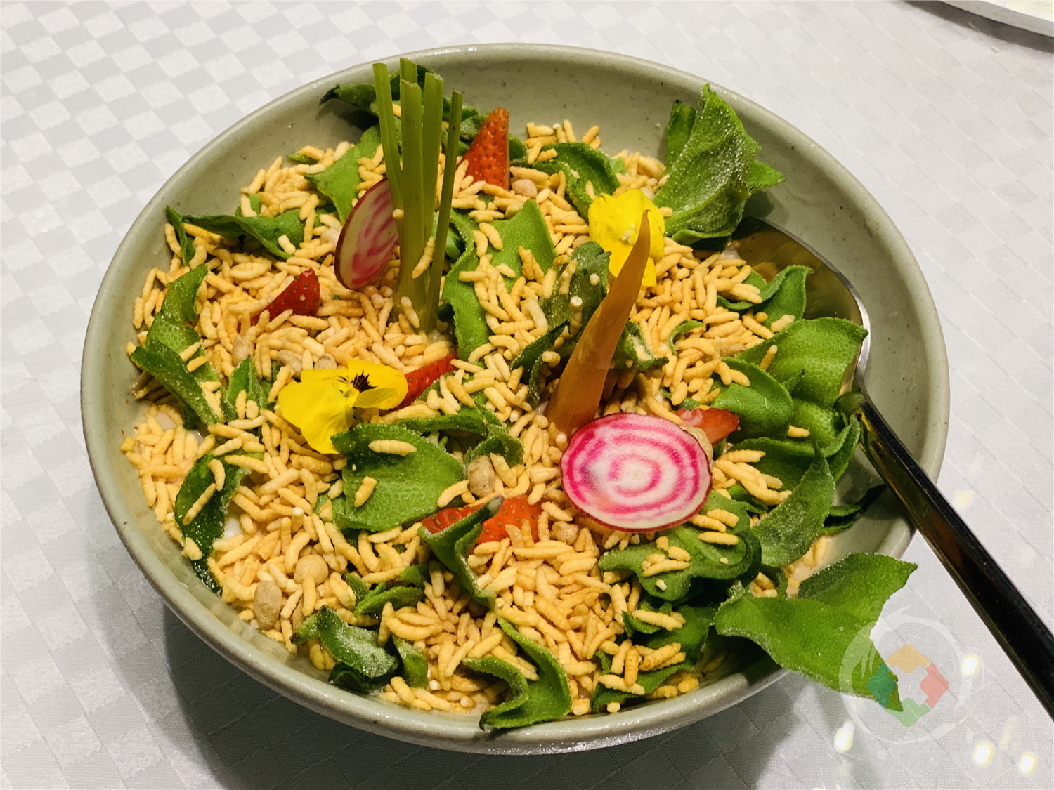 重庆江边最浪漫的餐厅，仿佛置身海底世界，超大型鲨鱼近在眼前