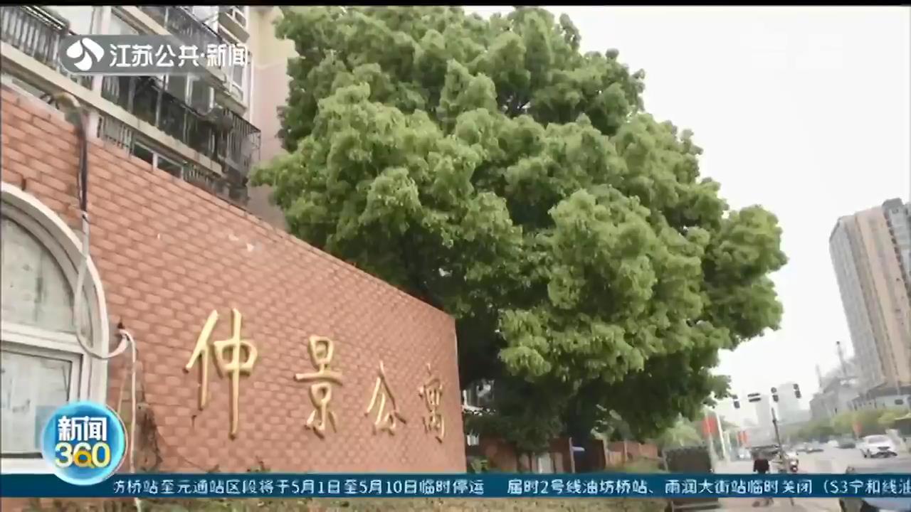 小区树木可以随意修剪砍伐吗？城管：无合法手续，私自修剪涉嫌违法