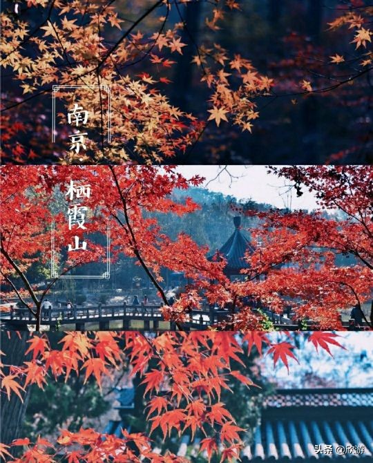 October is the most worthwhile travel. These places have the most beautiful maple leaves and are also the best shooting locations