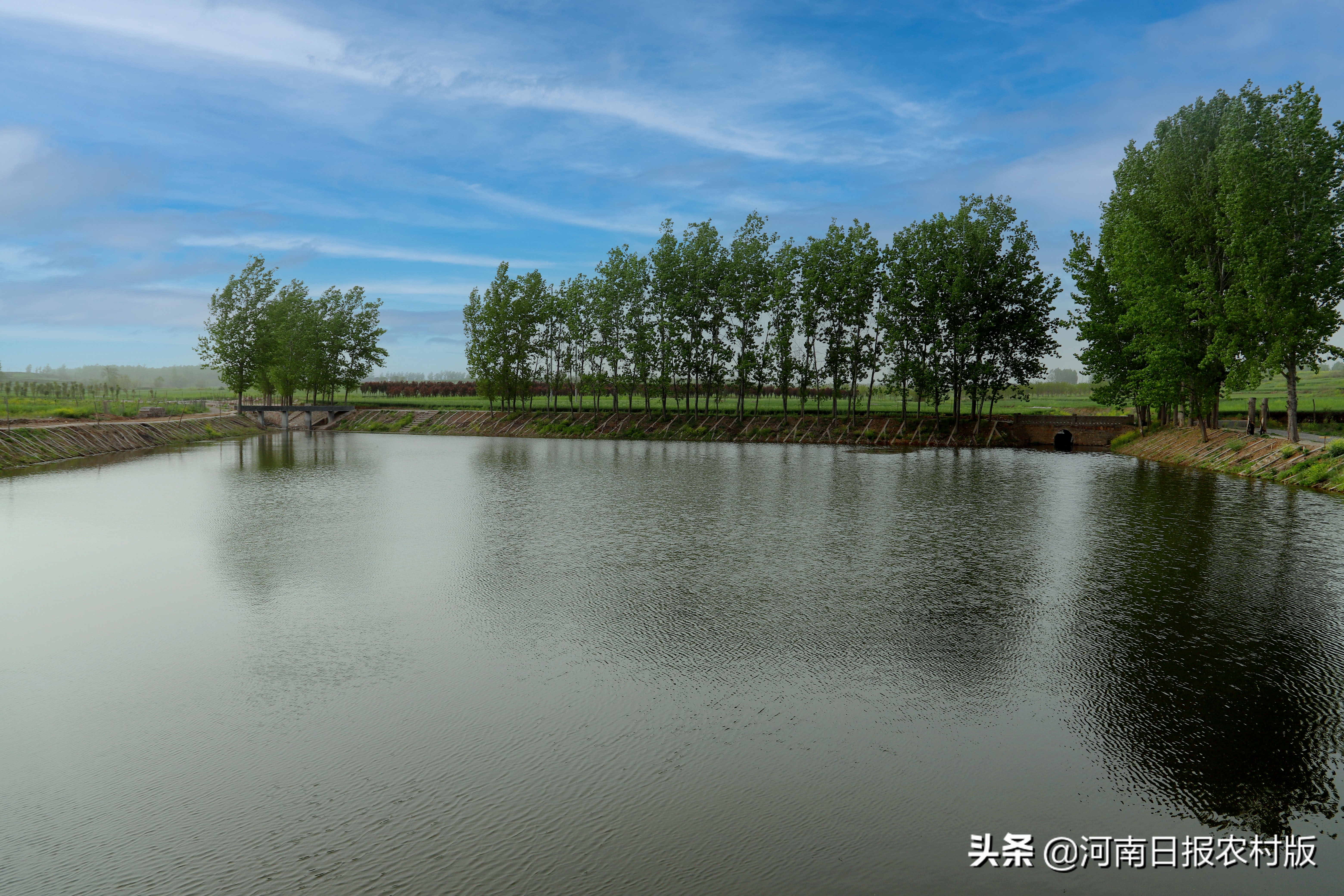 宝丰县大营镇由黑到绿的转型发展之路