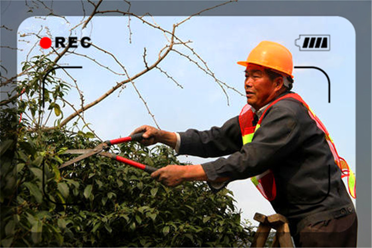 现在50岁左右的失业者，在社会上如何生存下去？