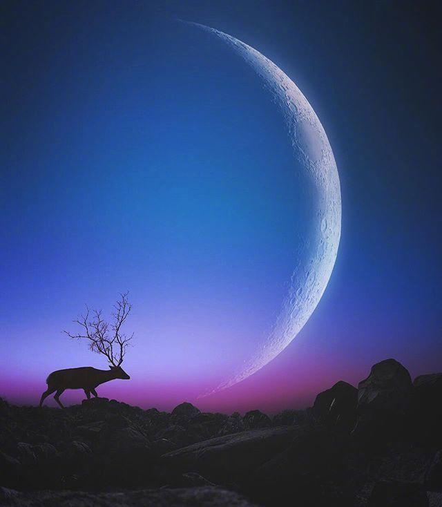 致自己身累心累的说说 发朋友圈令人心痛的句子图片