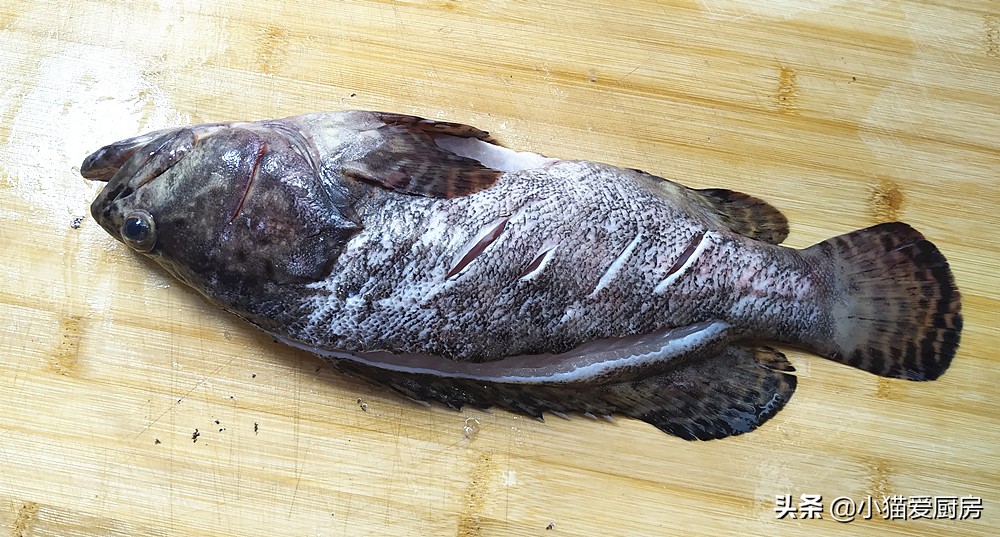 图片[5]-清蒸石斑鱼 只要掌握好3个技巧 做出来鲜嫩多汁好吃 没有腥味-起舞食谱网