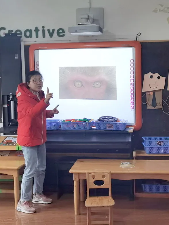 眼睛的秘密——四川天府新区华阳幼儿园南区小一班安全主题活动