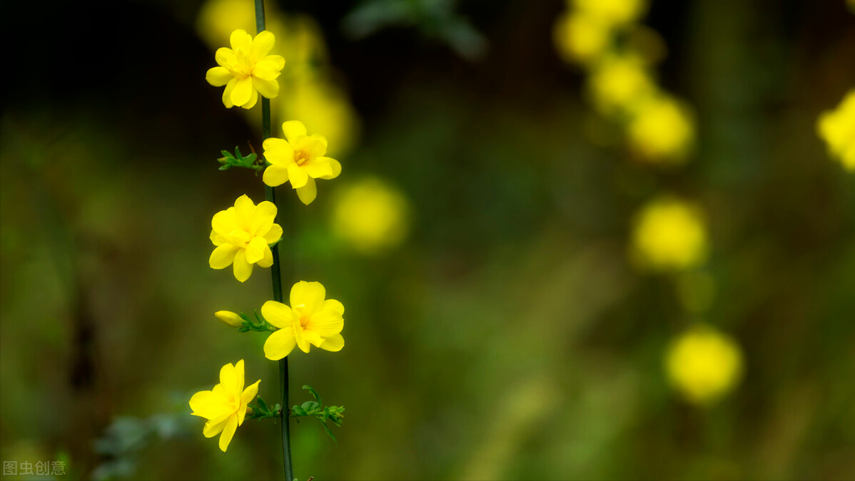 新手从零开始做自媒体—影视剪辑领域详细教程
